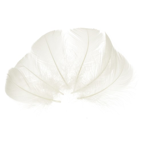 100pcs white craft feathers - 100pcs,
