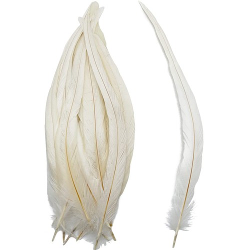 50pcs white long rooster coque - white,